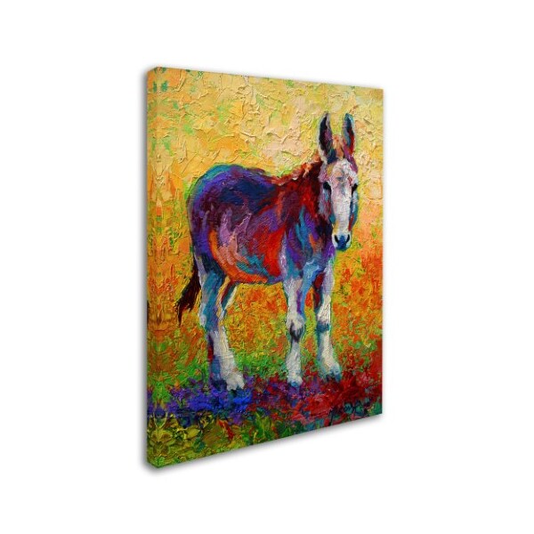 Marion Rose 'Migo' Canvas Art,14x19